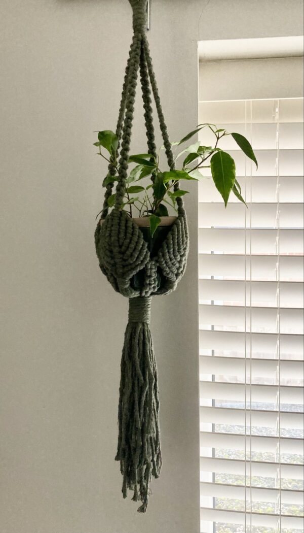 leaf pattern macramé hanging plant holder