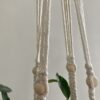 macramé hanging plant holder